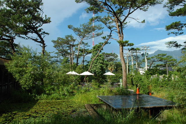 pine garden poet corner
